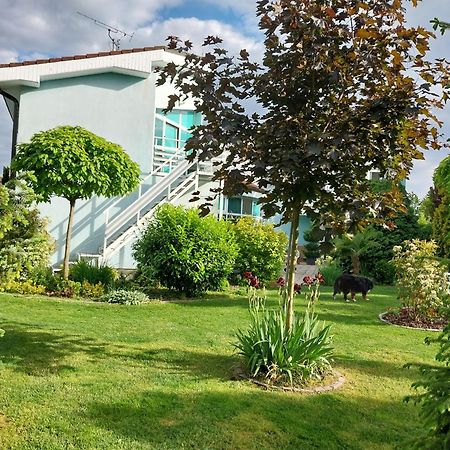 Cozy Rooms In Wine Town - Modra Extérieur photo